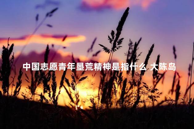 中国志愿青年垦荒精神是指什么 大陈岛垦荒精神内容是谁提出的